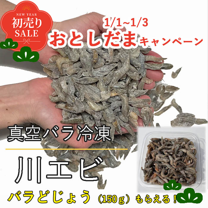 【お年玉付き選択可】真空バラ冷凍 川エビ 500g エサ用