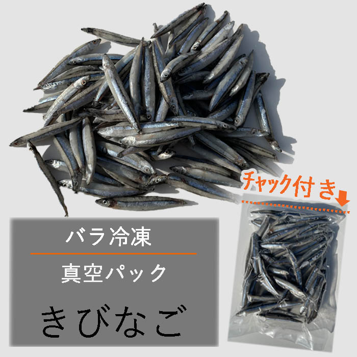 真空バラ冷凍 キビナゴ 500g エサ用