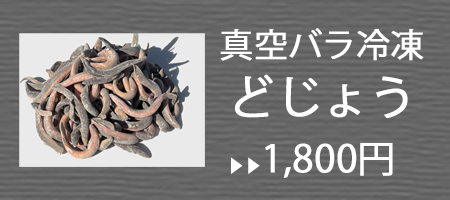 バラどじょう