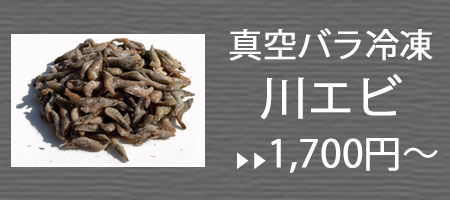 真空バラ冷凍 川エビ 450g エサ用 | どじょうの大河 真空バラ冷凍 川エビ 450g エサ用 | どじょうの大河