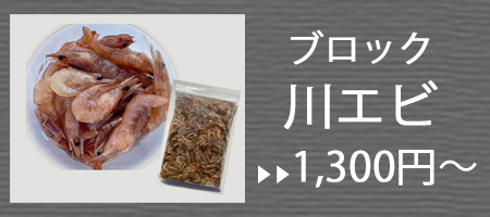 カワエビ