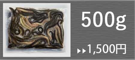 冷凍どじょう500g