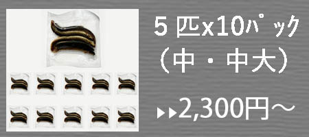 5匹