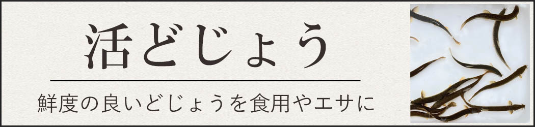 活どじょうを食用やエサに