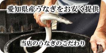 愛知県産うなぎをお安く提供 当店のうなぎのこだわり