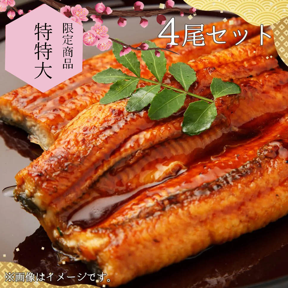 【限定品】 国産 うなぎ蒲焼 【愛知県産】 訳あり品 特特大(235g以上) 4尾セット