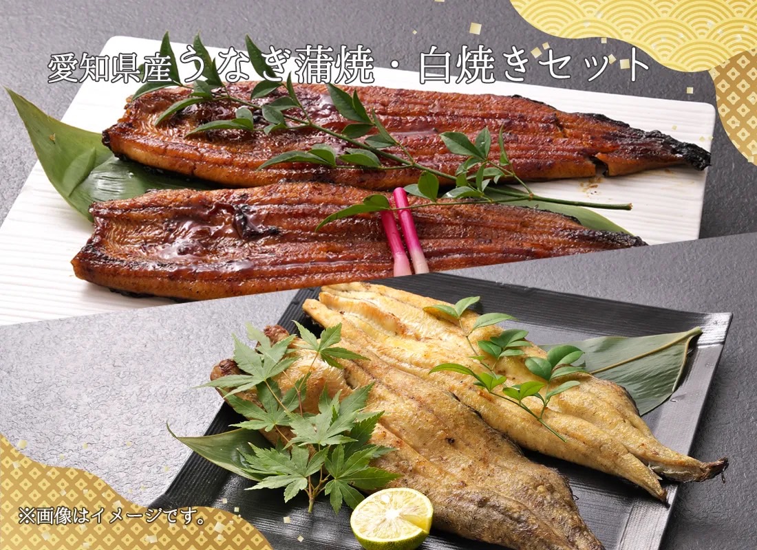 ◆初回限定品◆うなぎ蒲焼白焼　【愛知県産】　訳あり品　蒲焼1尾・白焼1尾セット　大(蒲焼:151g～181g/白焼:117g～132g)