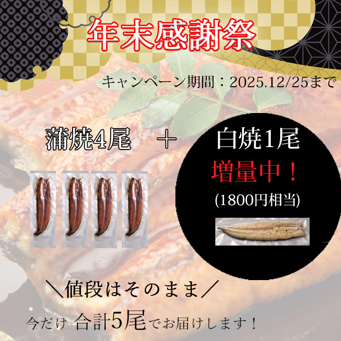 国産　うなぎ蒲焼　【愛知県産】　訳あり品 梅(133g～150g) 4尾セット＋1尾増量