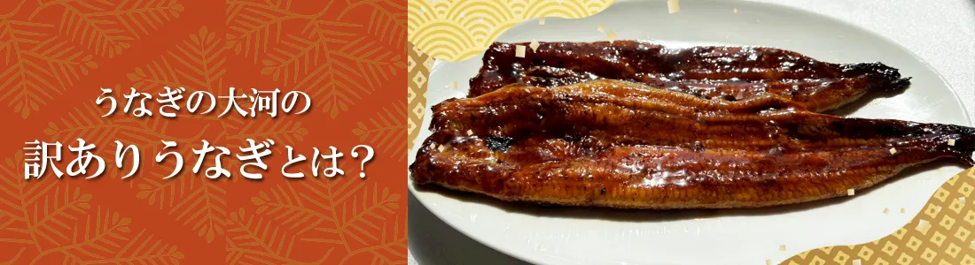 訳ありうなぎについて